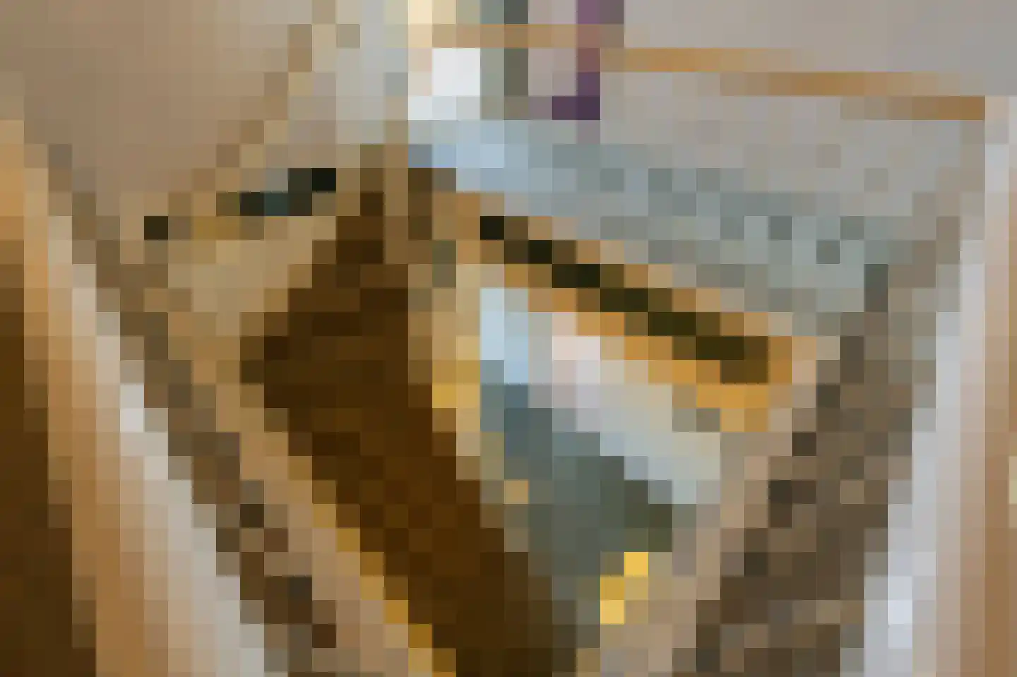 Molenstraat 66 Strijen thumbnail 34