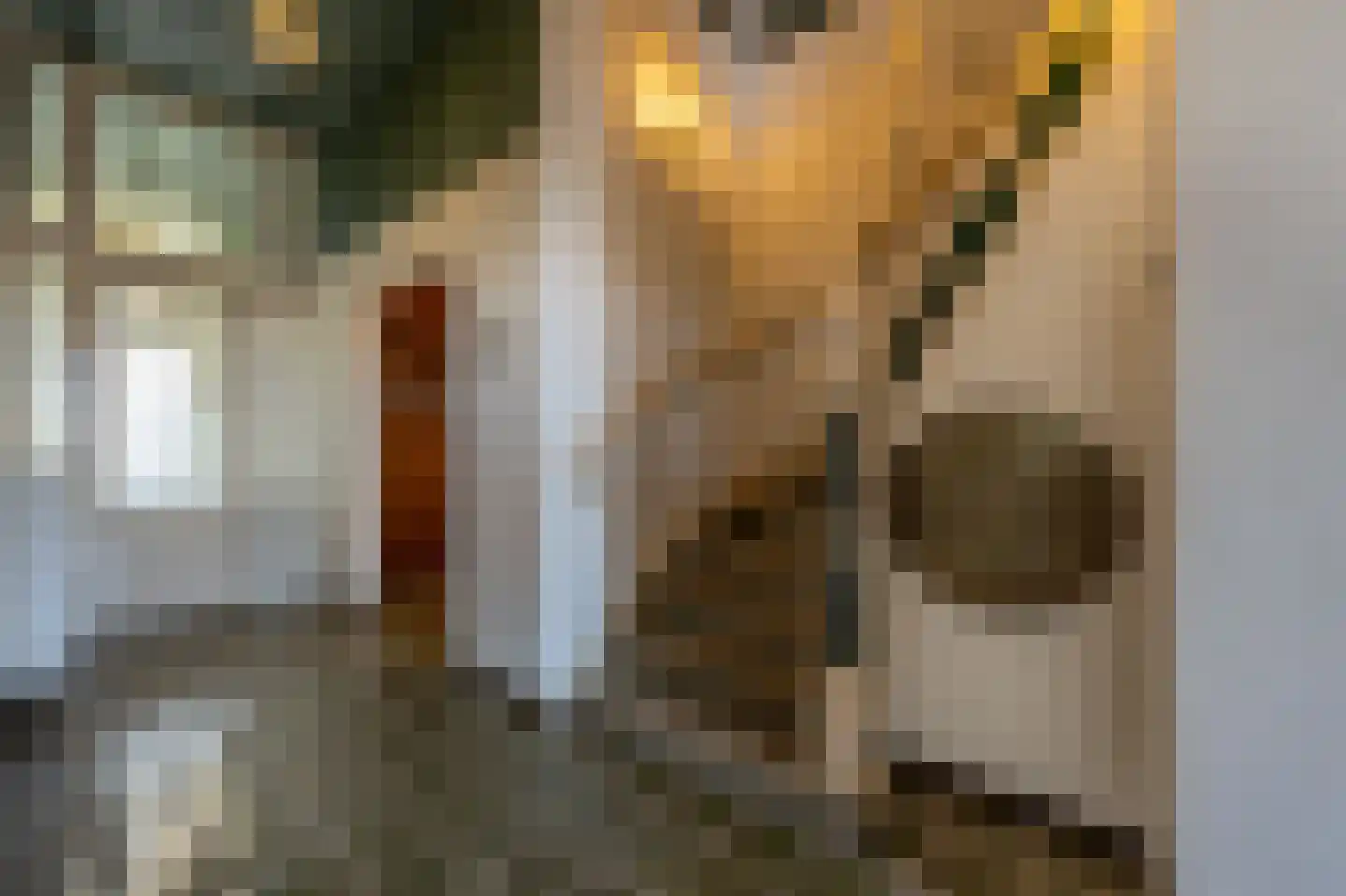 Molenstraat 66 Strijen thumbnail 4