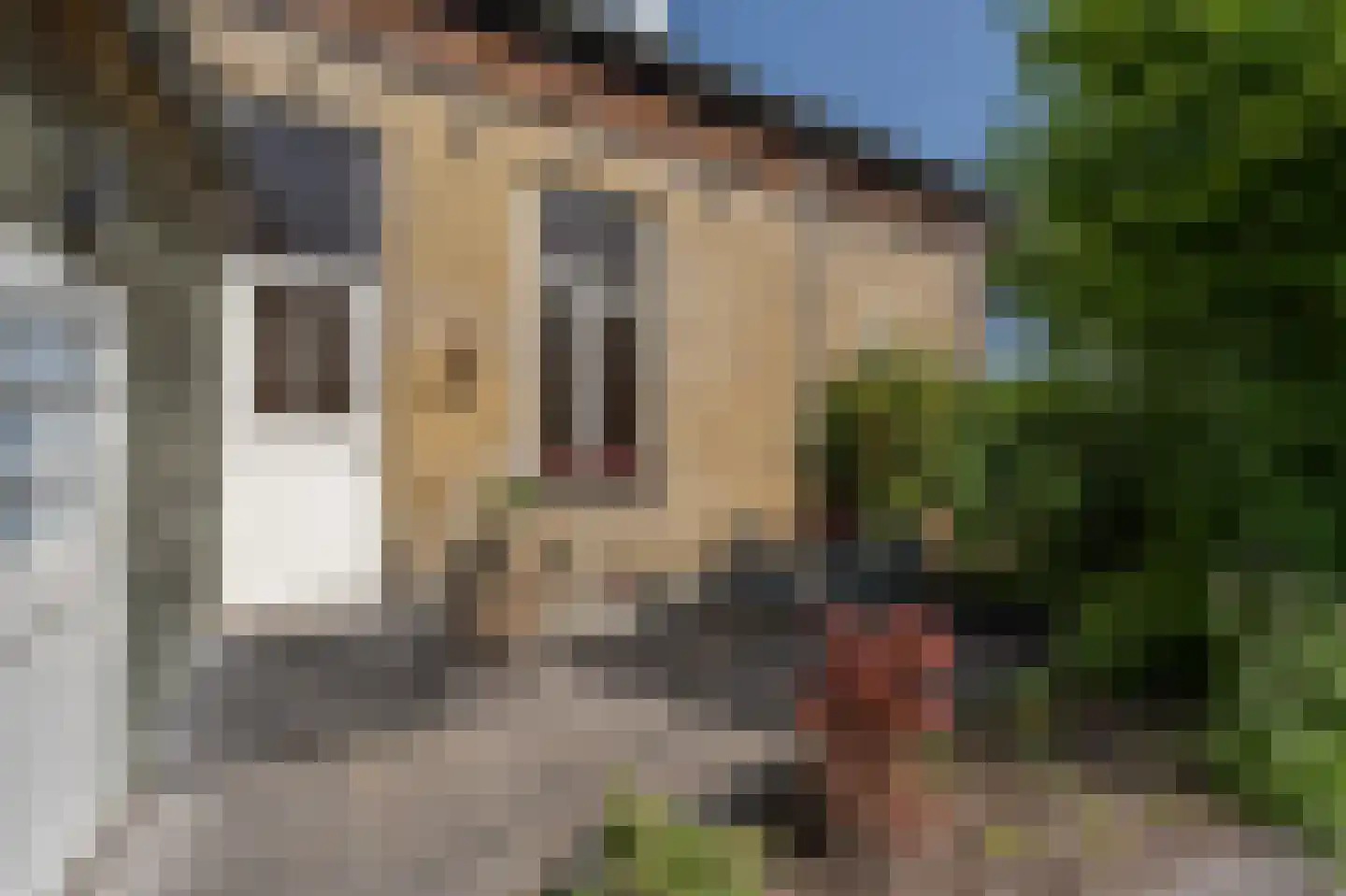 Molenstraat 66 Strijen thumbnail 51