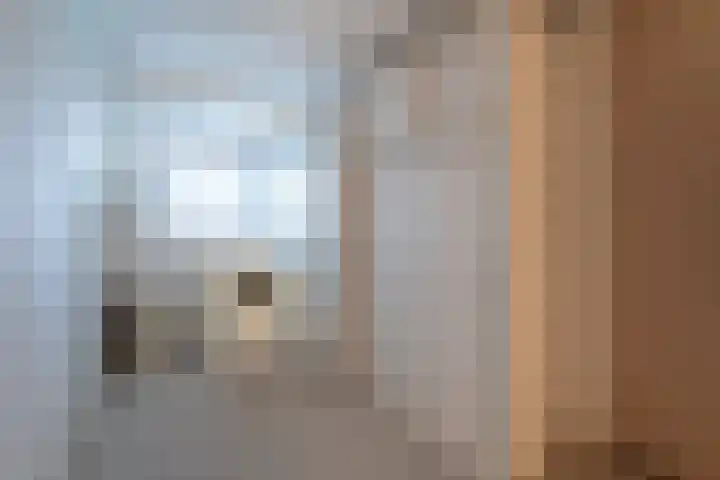 Molenstraat 66 Veenendaal thumbnail 13