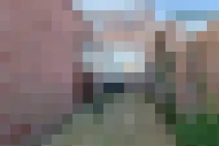 Molenstraat 66 Veenendaal thumbnail 18