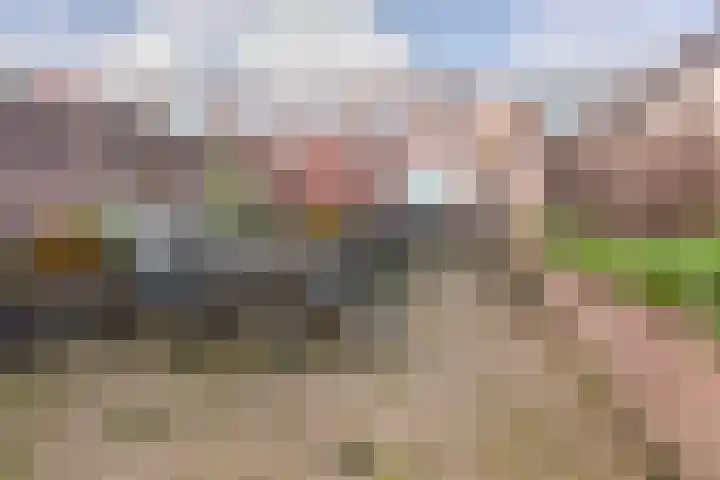 Molenstraat 66 Veenendaal thumbnail 19