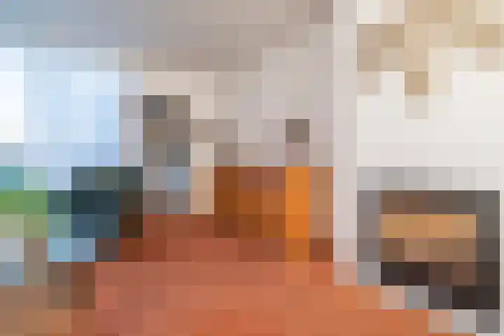 Molenstraat 66 Veenendaal thumbnail 4