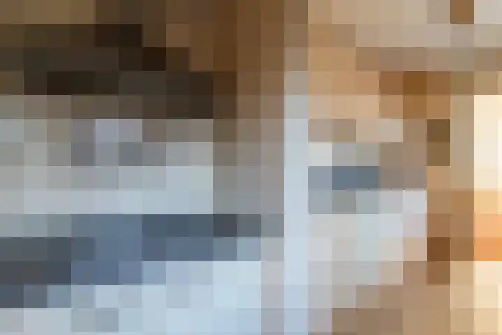 Molenstraat 66 Veenendaal thumbnail 8