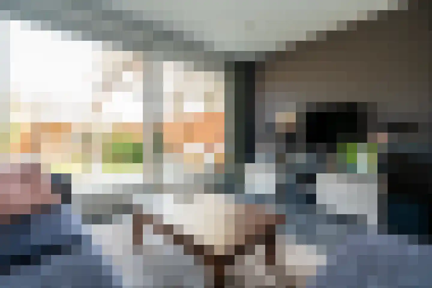 Molenstraat 67 Mussel thumbnail 10
