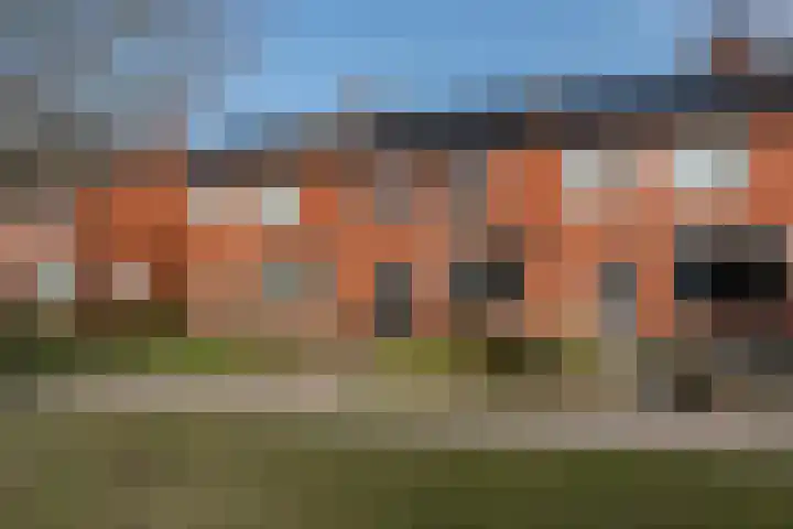 Molenstraat 67 Mussel thumbnail 34