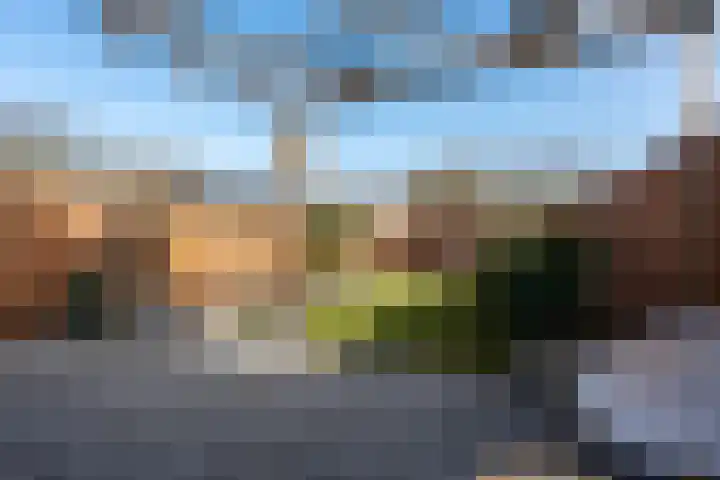 Molenstraat 67 Mussel thumbnail 36