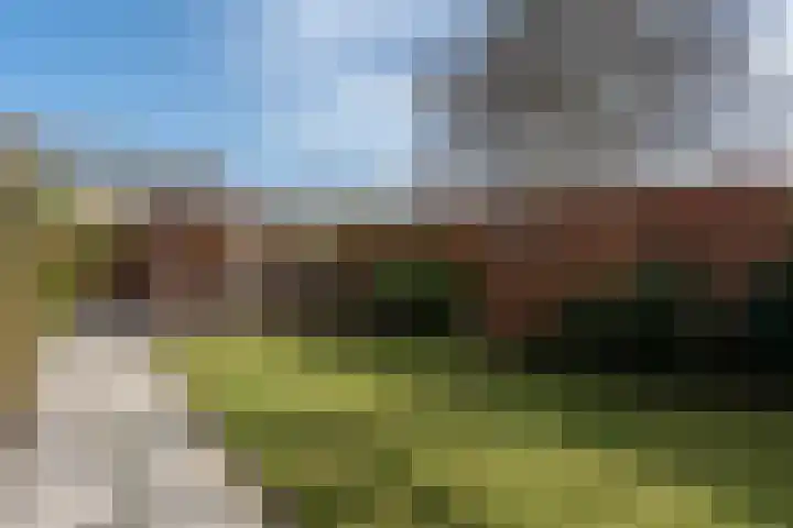 Molenstraat 67 Mussel thumbnail 37