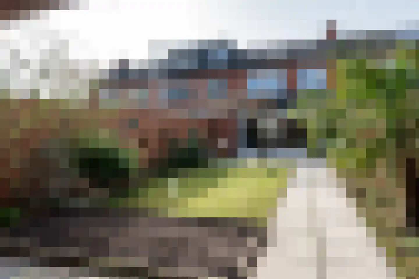 Molenstraat 67 Mussel thumbnail 39