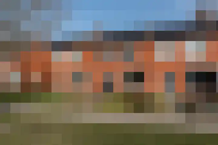 Molenstraat 67 Mussel thumbnail 42