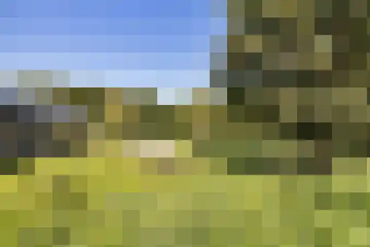Molenstraat 68 Farmsum thumbnail 15