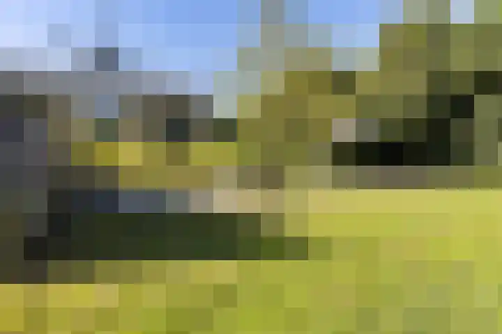 Molenstraat 68 Farmsum thumbnail 16