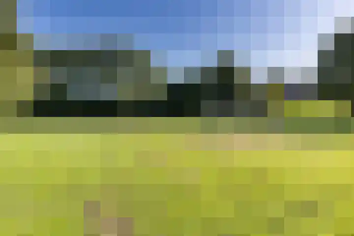 Molenstraat 68 Farmsum thumbnail 17