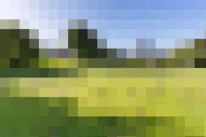 Molenstraat 68 Farmsum thumbnail 18