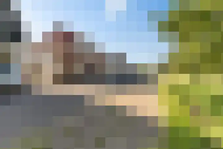 Molenstraat 68 Farmsum thumbnail 8