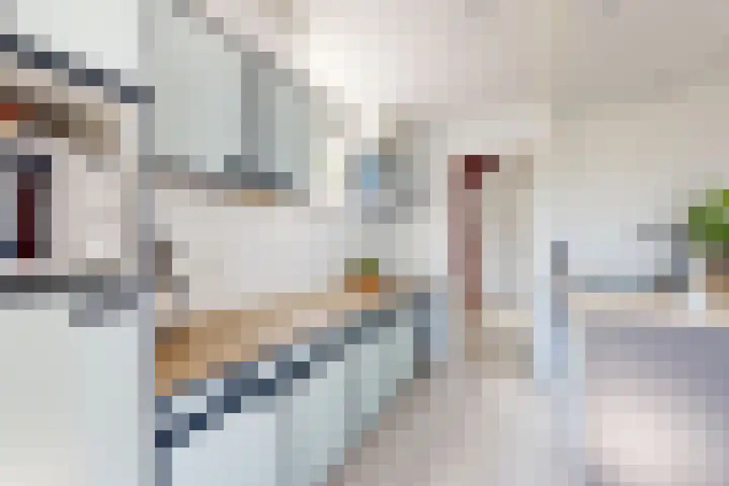 Molenstraat 68 Fijnaart thumbnail 17