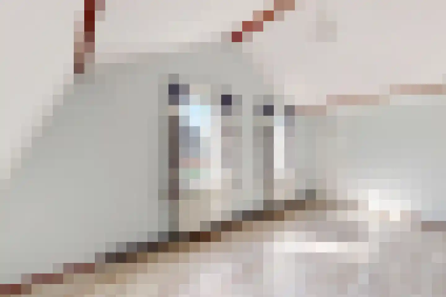 Molenstraat 68 Fijnaart thumbnail 31