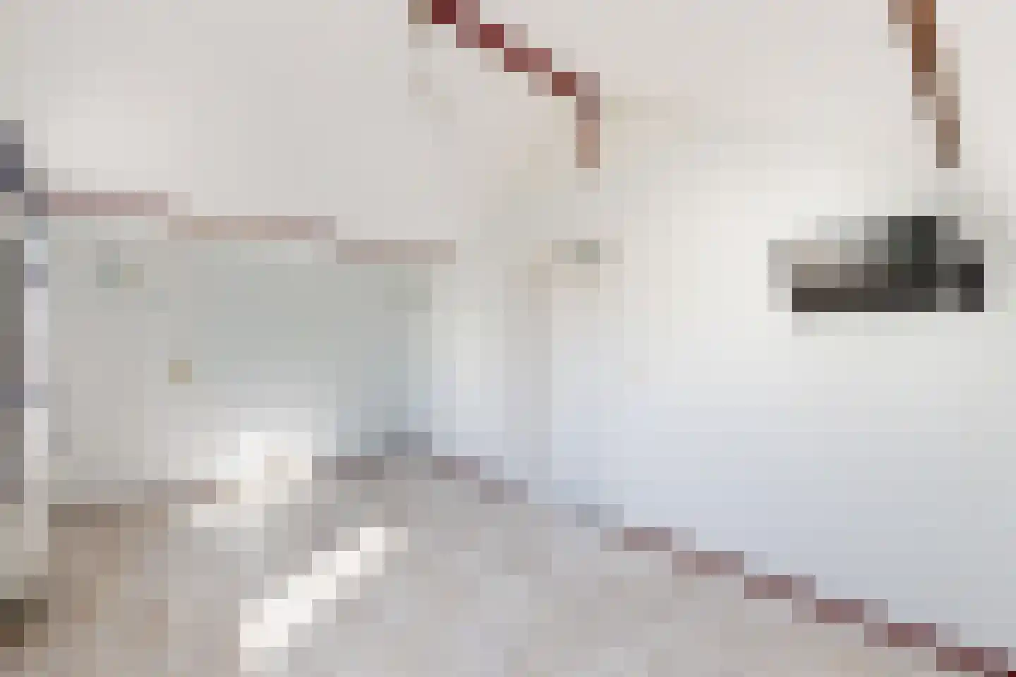 Molenstraat 68 Fijnaart thumbnail 32