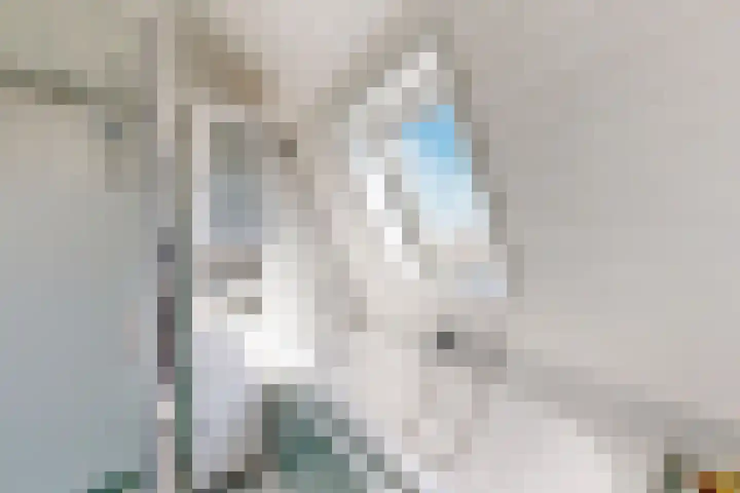 Molenstraat 68 Fijnaart thumbnail 37