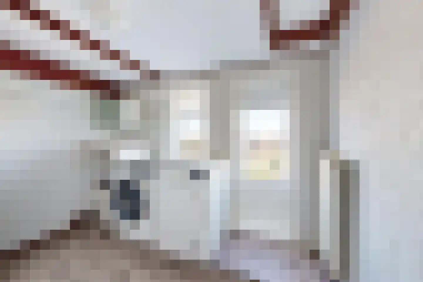 Molenstraat 68 Fijnaart thumbnail 40