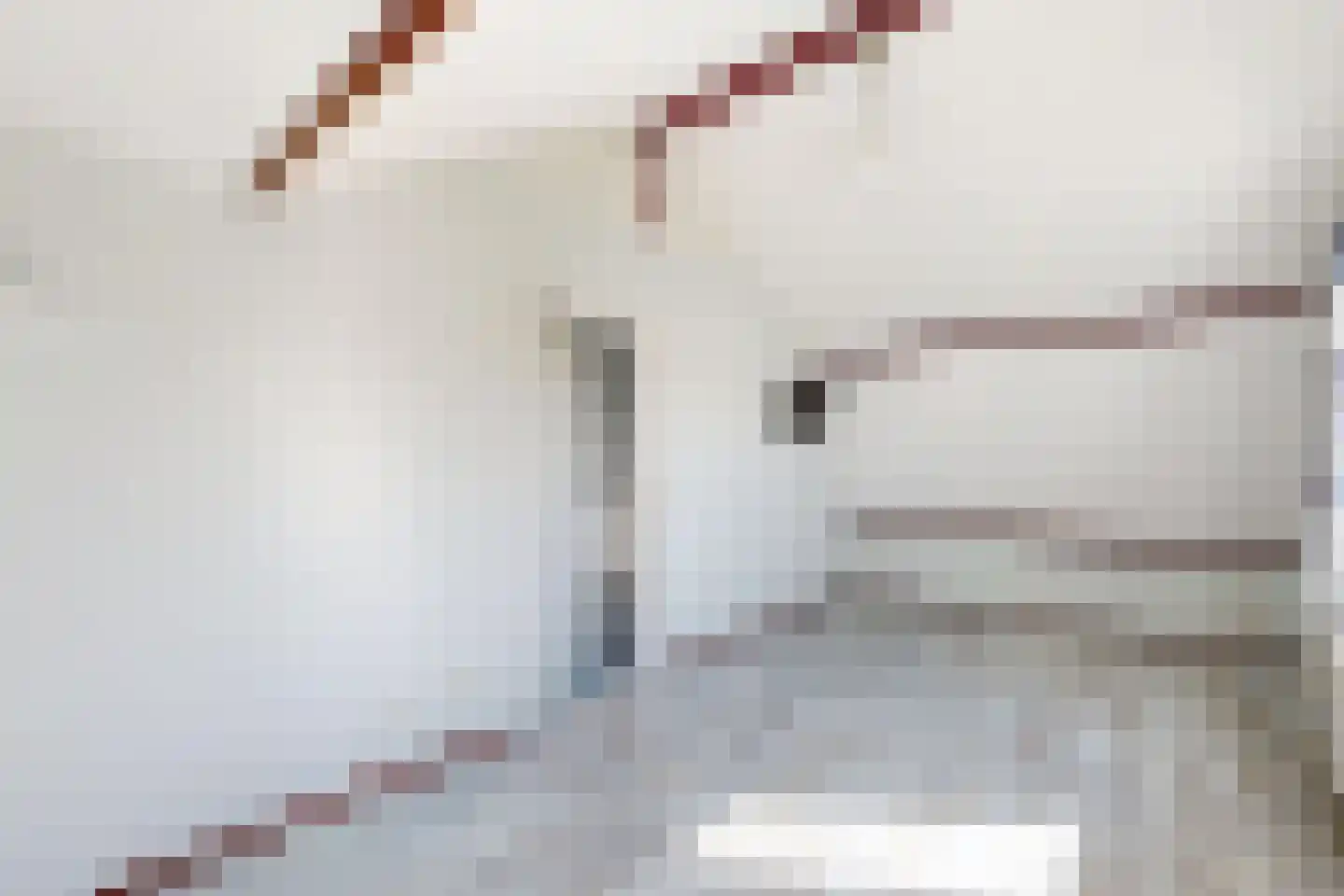 Molenstraat 68 Fijnaart thumbnail 41