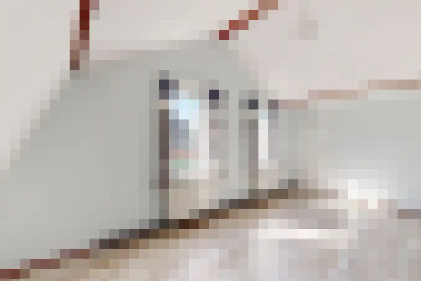 Molenstraat 68 Fijnaart thumbnail 43