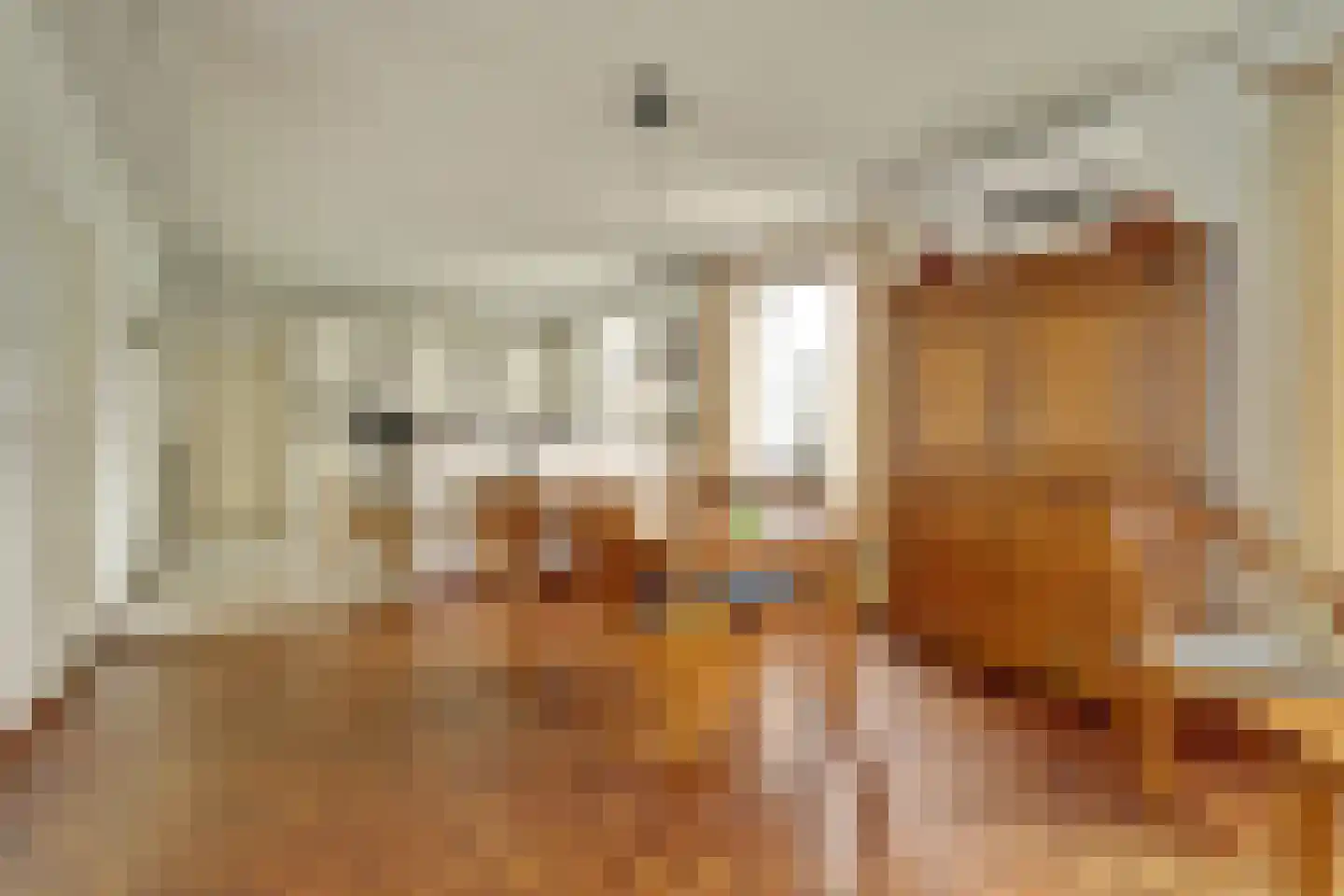 Molenstraat 68 Maasbree thumbnail 13