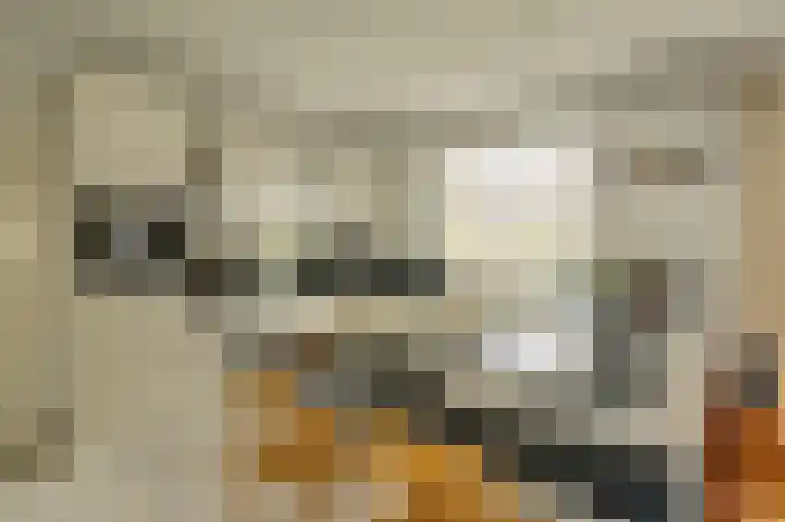 Molenstraat 68 Maasbree thumbnail 16