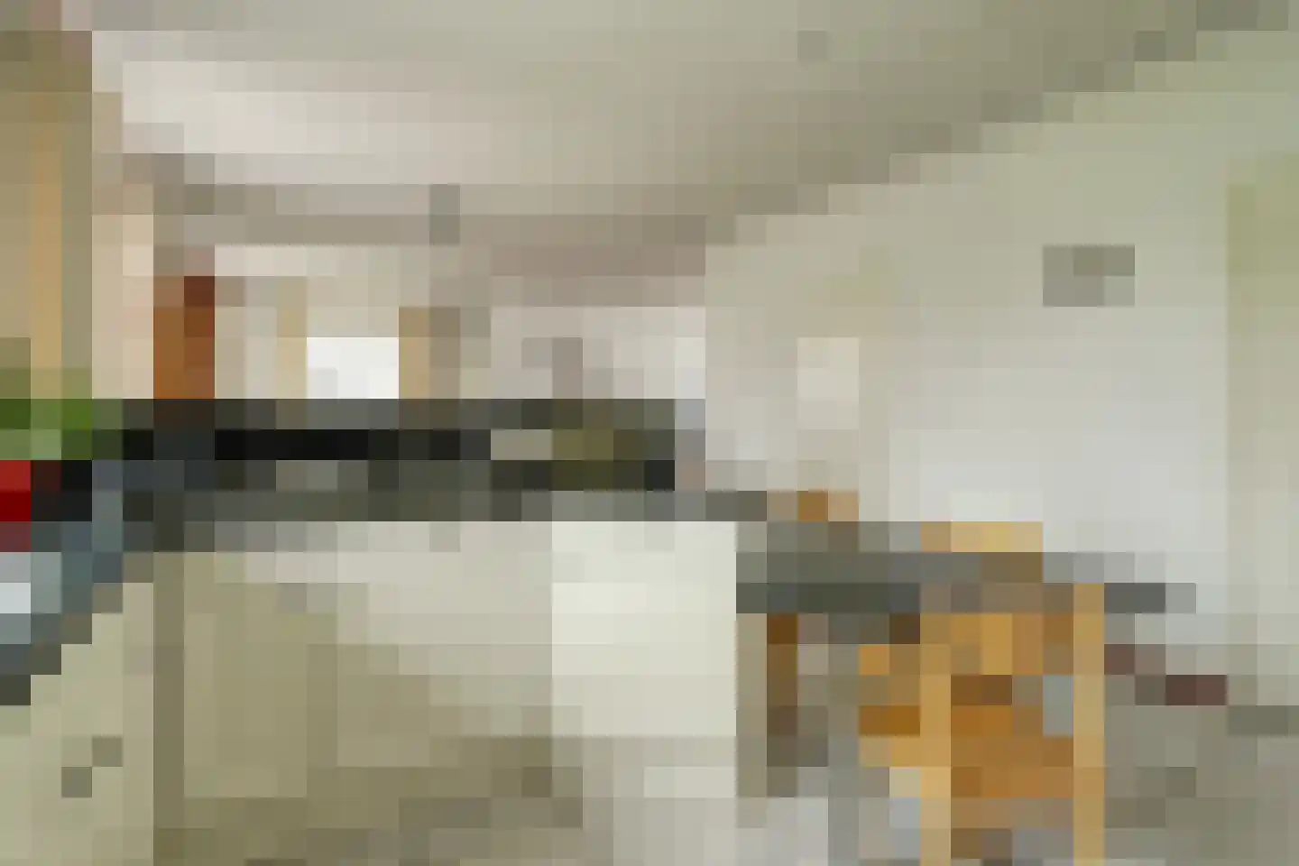 Molenstraat 68 Maasbree thumbnail 17