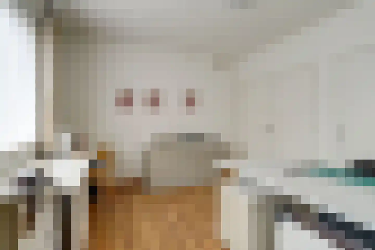 Molenstraat 68 Maasbree thumbnail 22