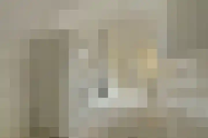 Molenstraat 68 Maasbree thumbnail 23