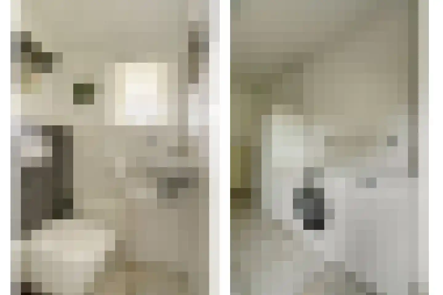 Molenstraat 68 Maasbree thumbnail 24