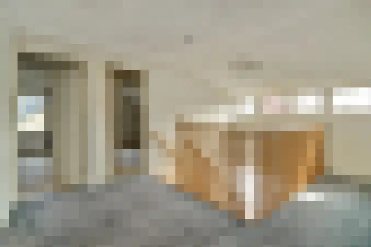 Molenstraat 68 Maasbree thumbnail 26