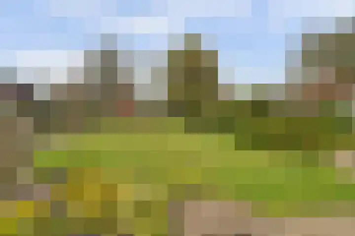Molenstraat 68 Maasbree thumbnail 38