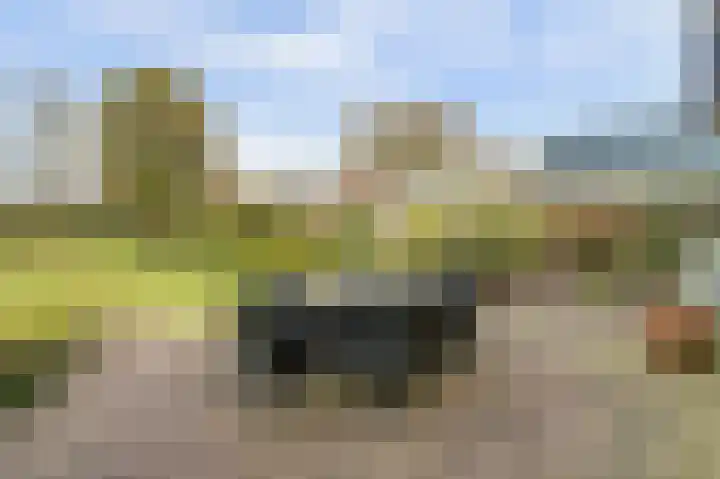 Molenstraat 68 Maasbree thumbnail 40