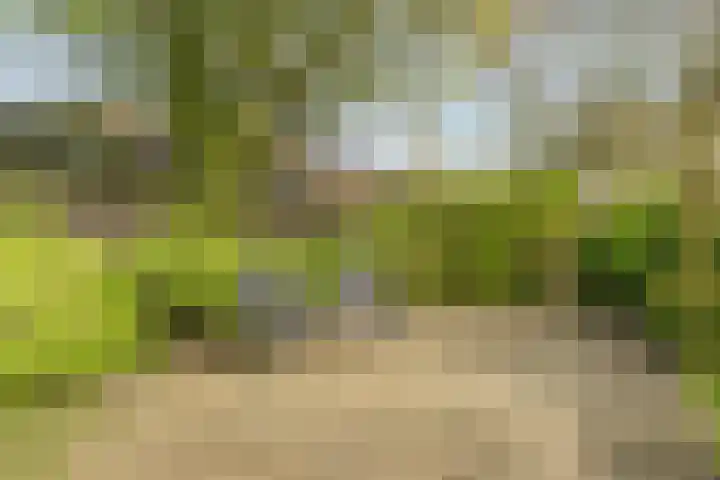 Molenstraat 68 Maasbree thumbnail 47