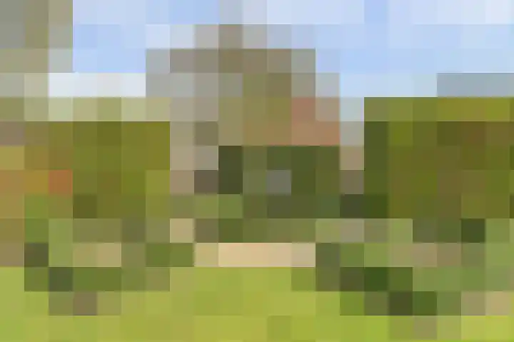 Molenstraat 68 Maasbree thumbnail 49