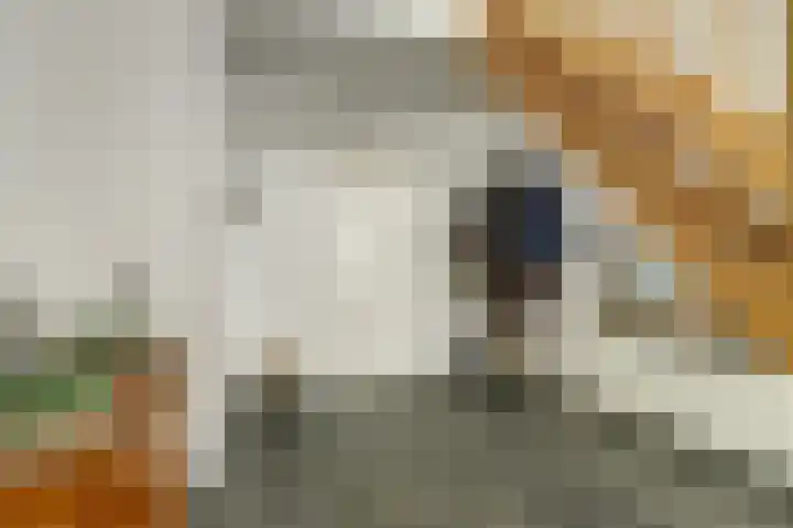 Molenstraat 68 Maasbree thumbnail 5