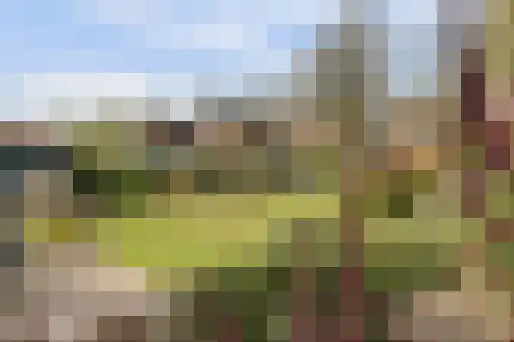 Molenstraat 68 Maasbree thumbnail 50