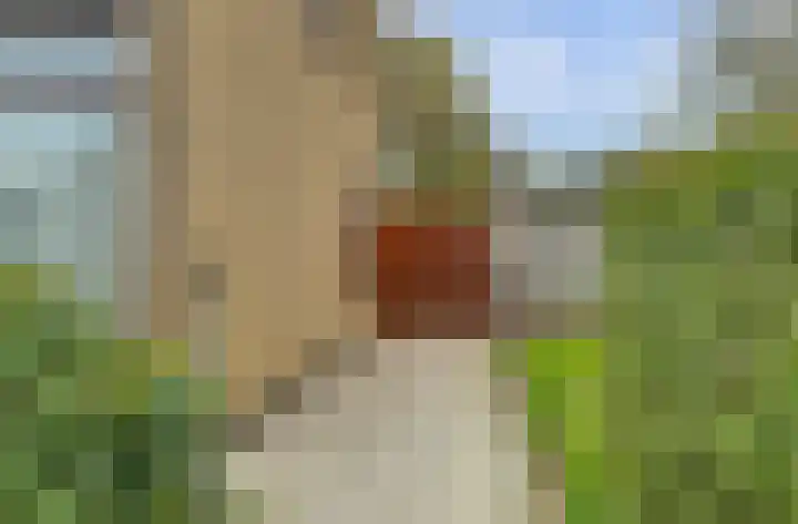Molenstraat 68 Maasbree thumbnail 51