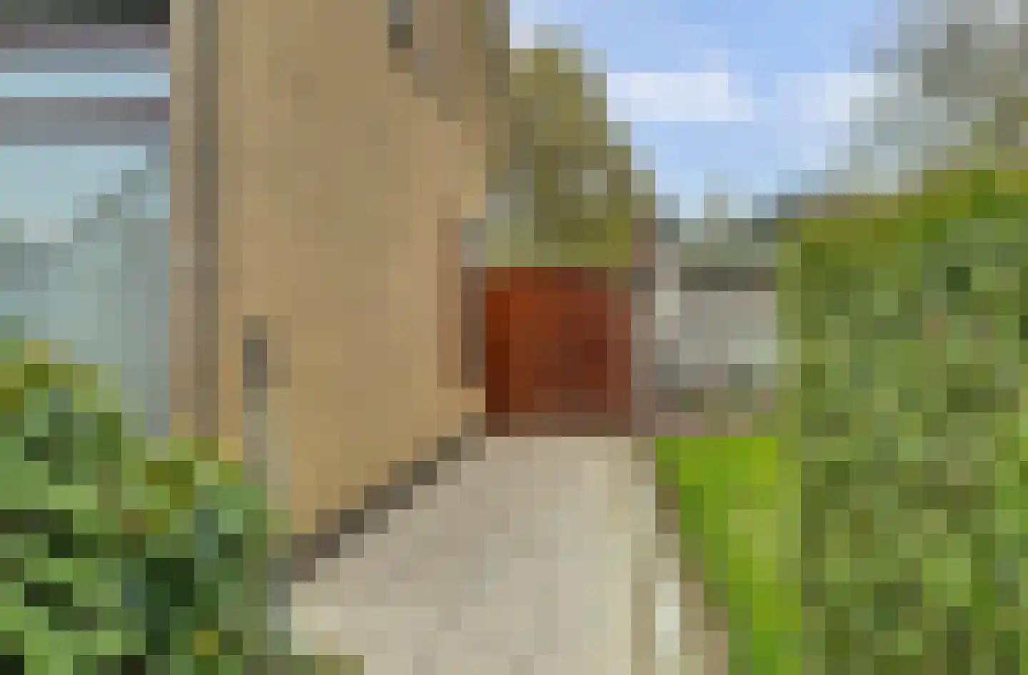 Molenstraat 68 Maasbree thumbnail 51