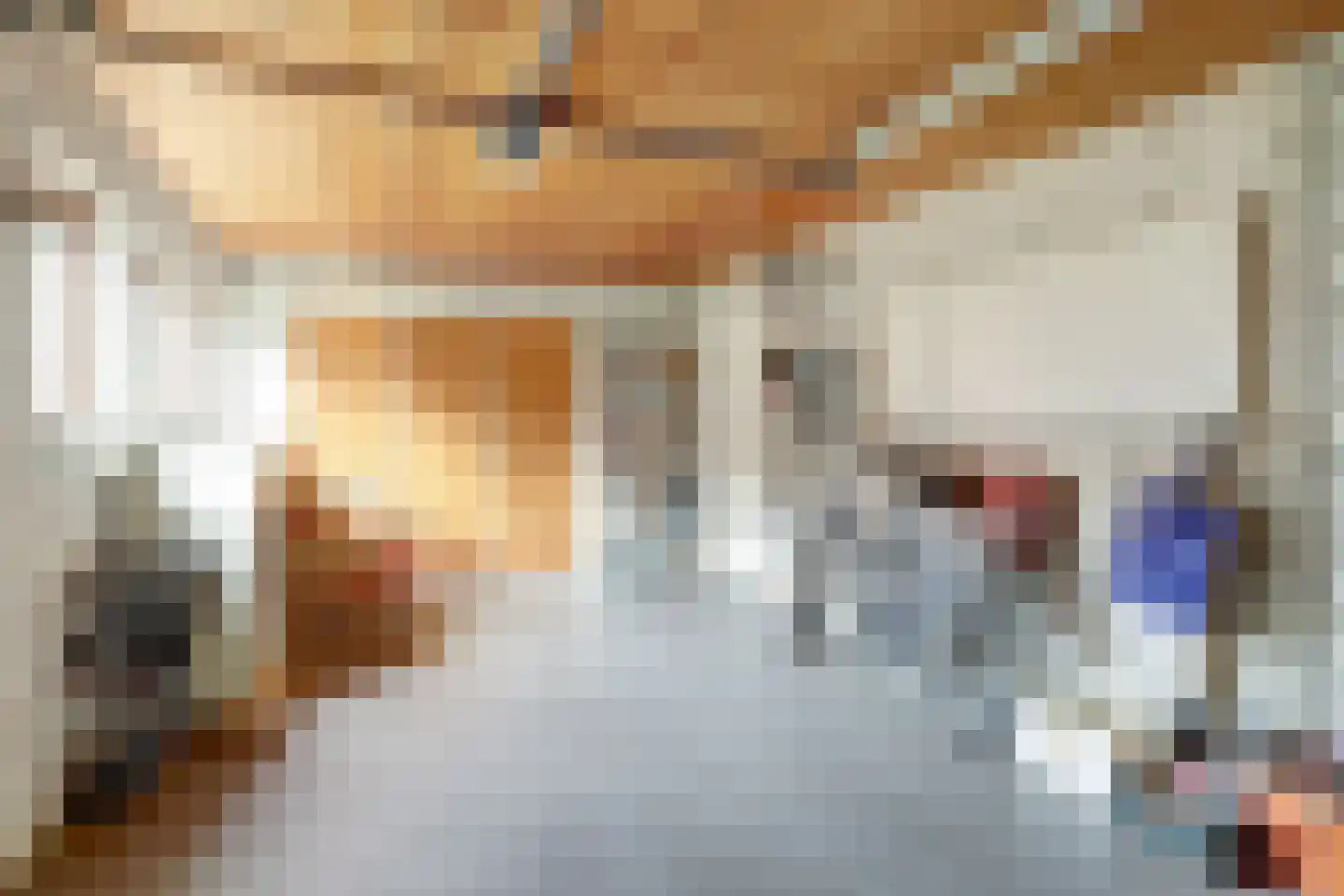 Molenstraat 68 Maasbree thumbnail 57