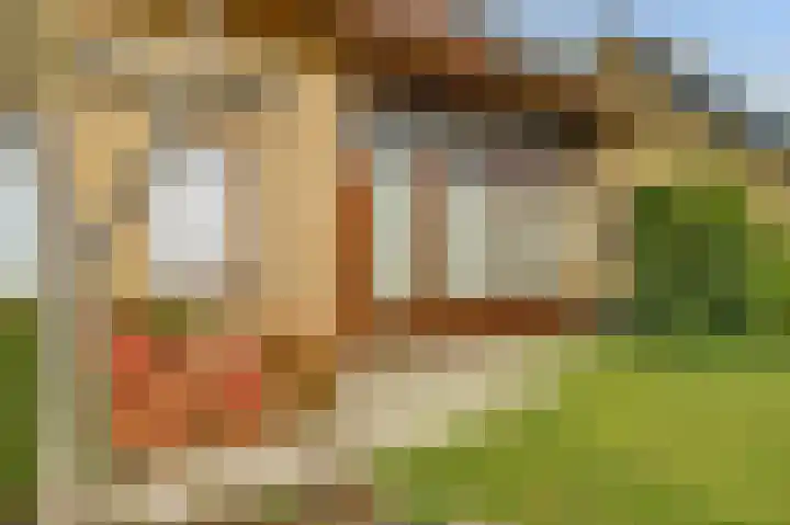 Molenstraat 68 Maasbree thumbnail 59