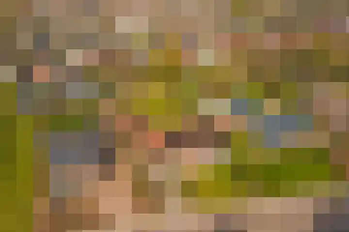 Molenstraat 68 Maasbree thumbnail 62