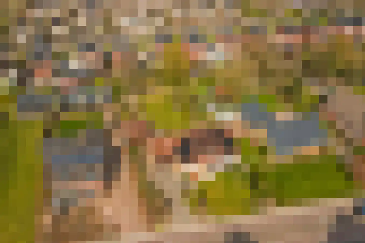 Molenstraat 68 Maasbree thumbnail 62