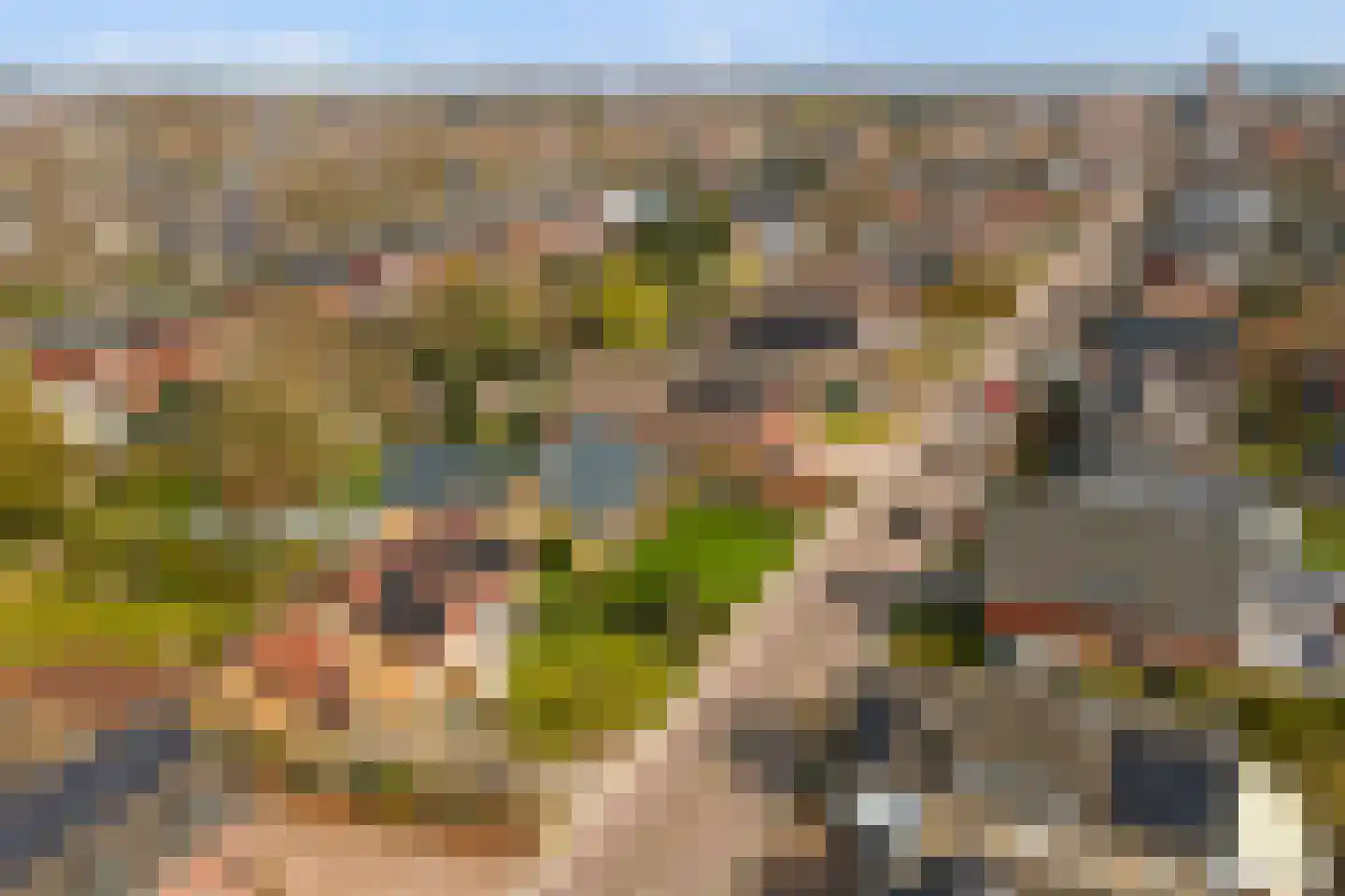 Molenstraat 68 Maasbree thumbnail 64