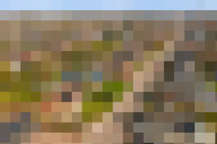 Molenstraat 68 Maasbree thumbnail 64