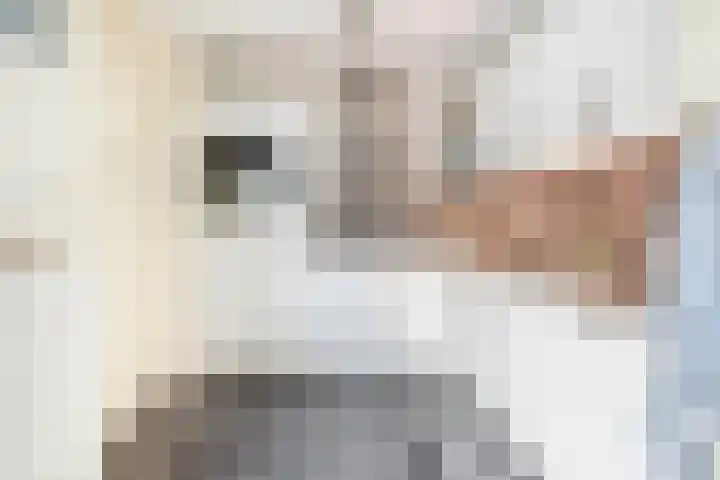 Molenstraat 7 Beerta thumbnail 16