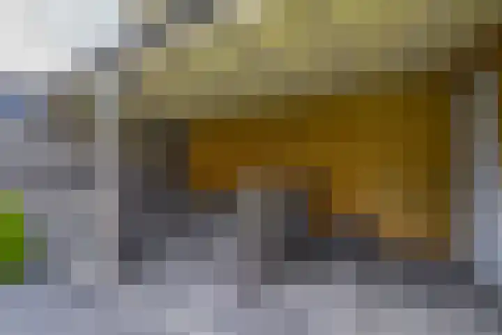 Molenstraat 7 Beerta thumbnail 28