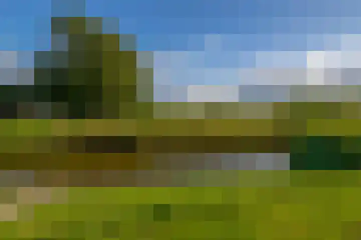 Molenstraat 7 Beerta thumbnail 30